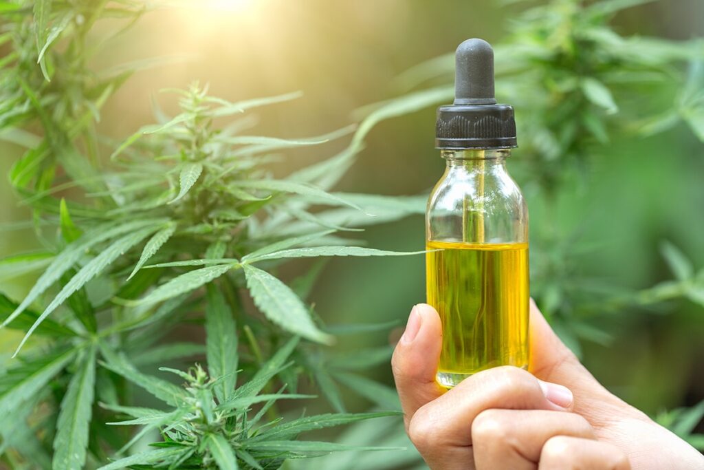 Boosting the Immune System with CBD Oil